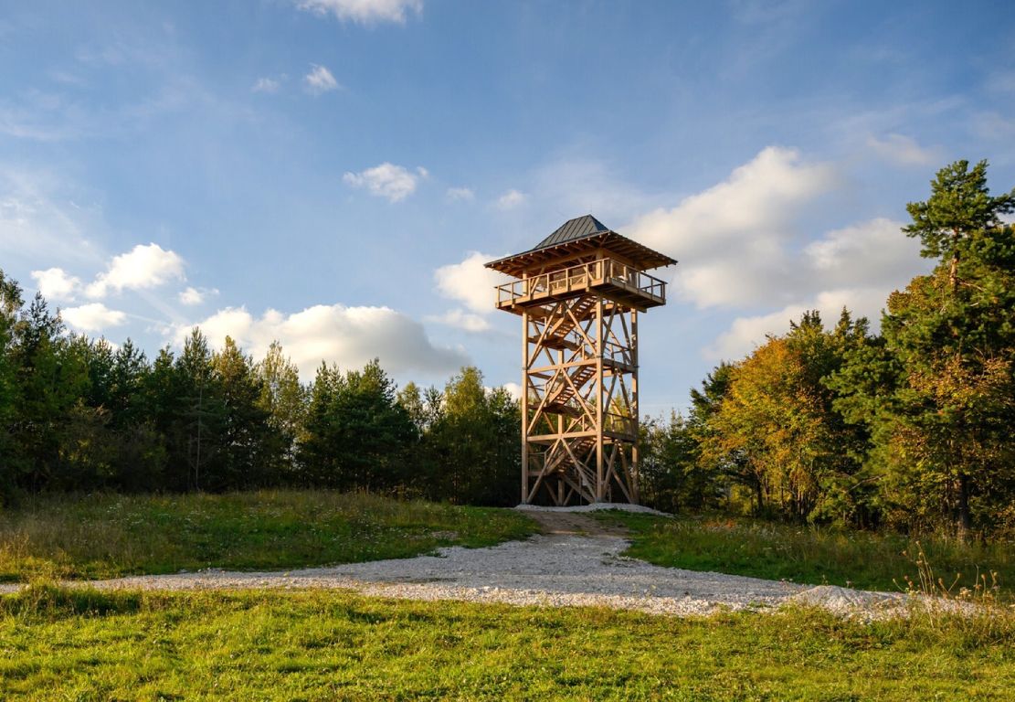 Inox-Net - Forest Observation Tower